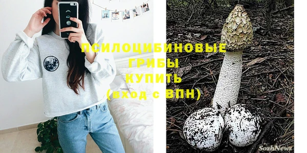 ГАЛЛЮЦИНОГЕННЫЕ ГРИБЫ Абдулино
