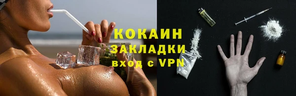 не бодяженный Ладушкин