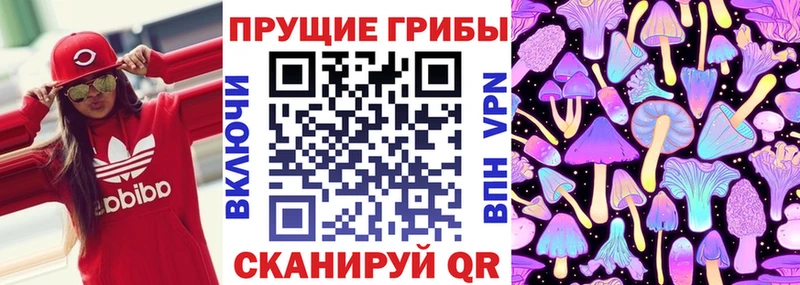 Галлюциногенные грибы Psilocybine cubensis OMG вход Мостовской где можно купить наркотик